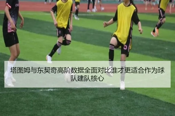 塔图姆与东契奇高阶数据全面对比谁才更适合作为球队建队核心