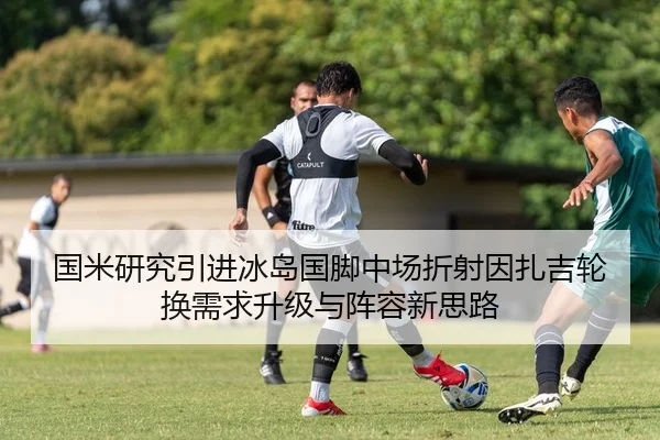 国米研究引进冰岛国脚中场折射因扎吉轮换需求升级与阵容新思路
